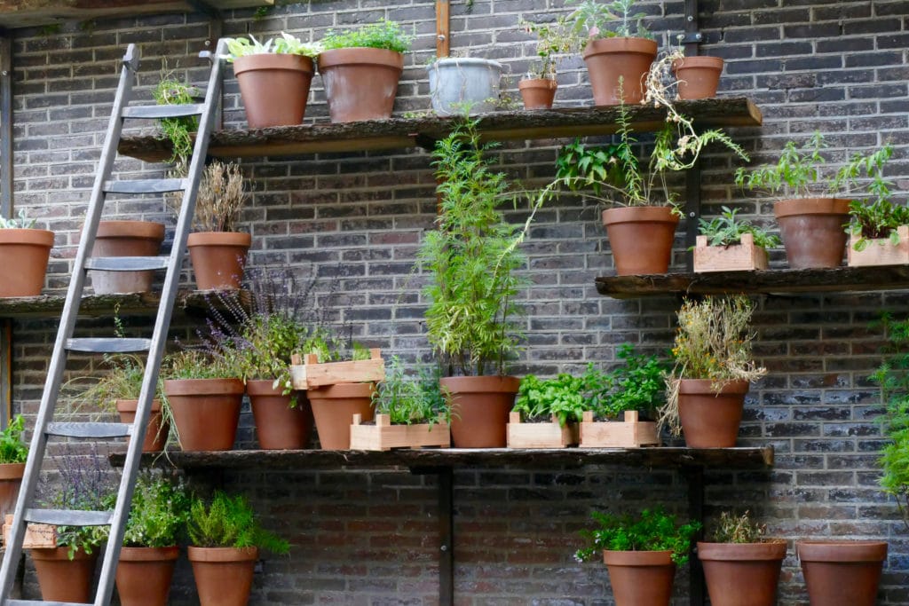 Herbs at De Librije