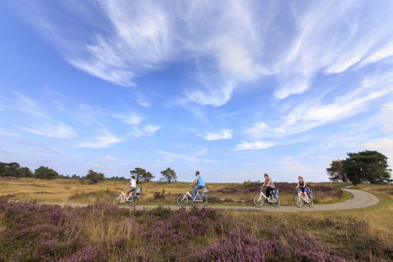 Netherlands with kids