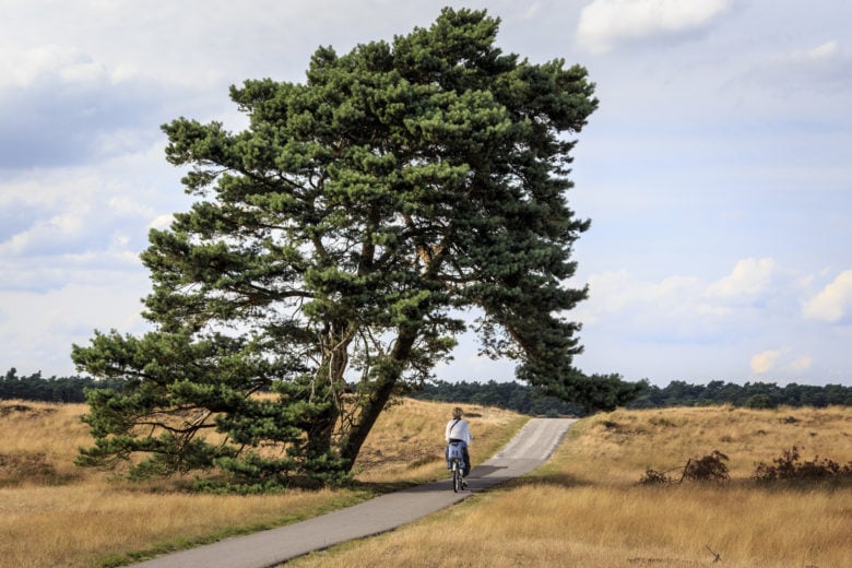 Netherlands with kids