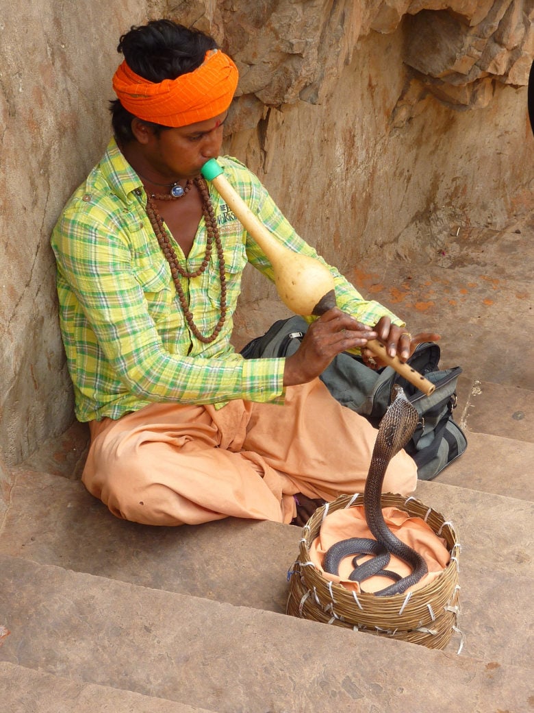 Monkey temple Jaipur India