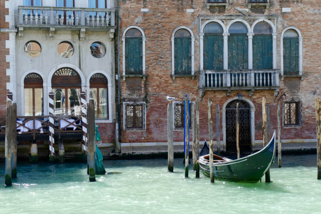 Venice favorite spots