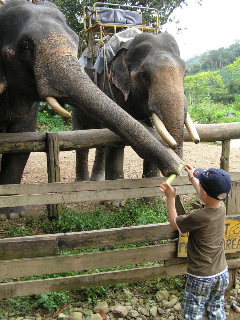 Thailand with kids