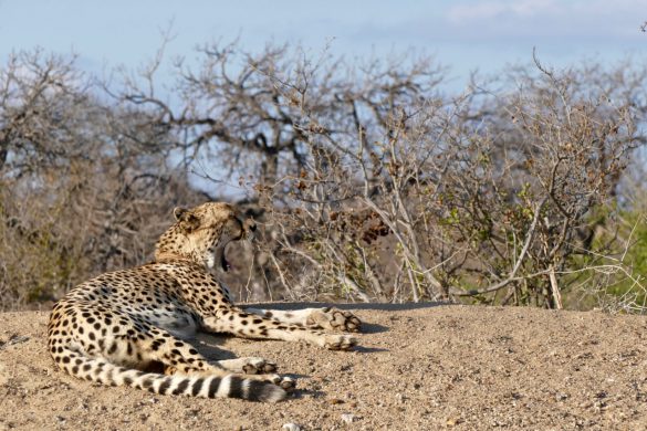 Nature Photography South Africa