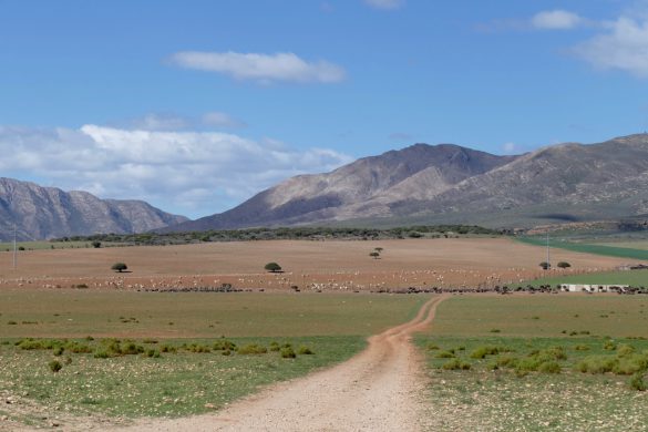 Nature Photography South Africa