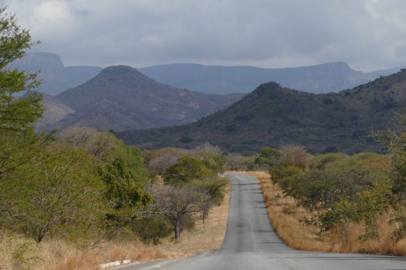 Nature Photography South Africa