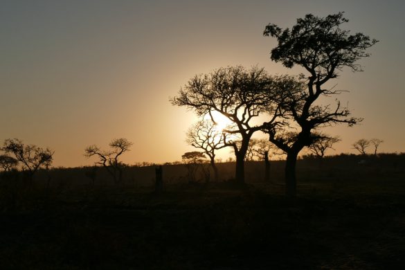 Nature Photography South Africa