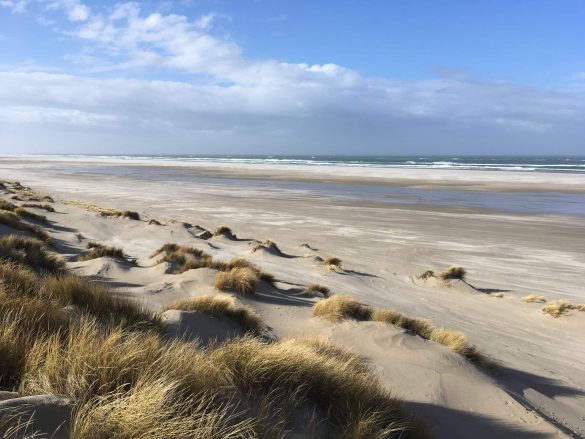 Dunes Terschelling