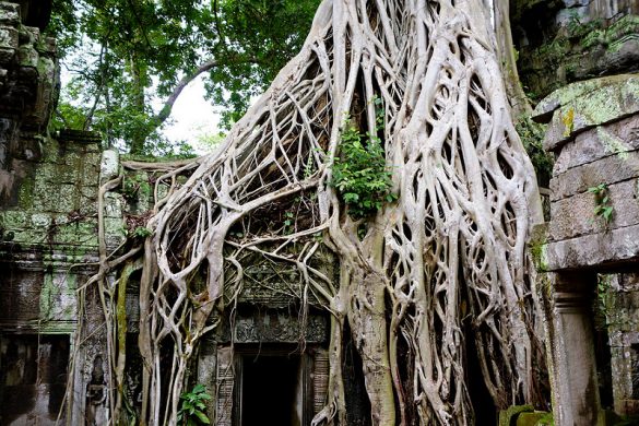 Ta Prohm