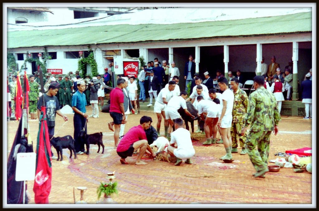 Nepal animal sacrifice