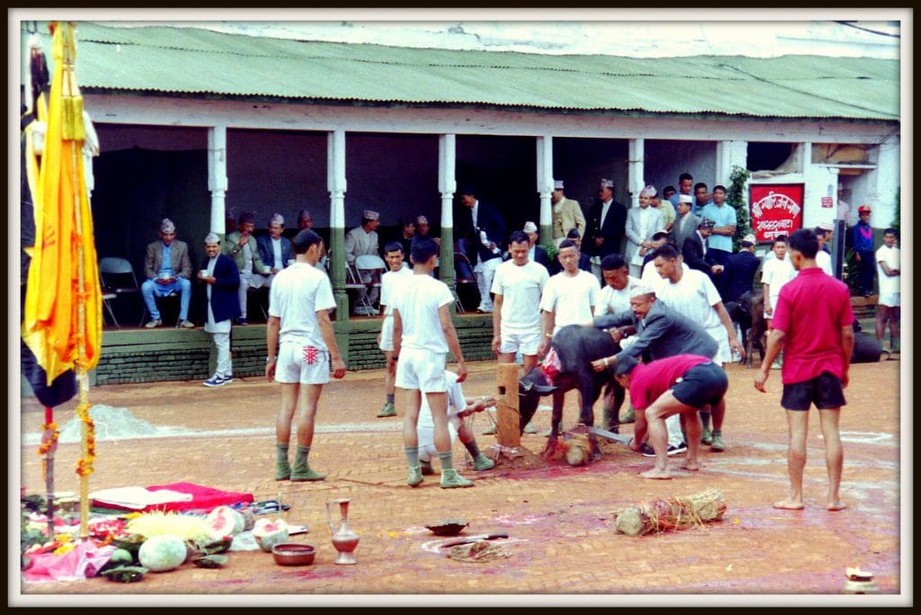 Nepal animal sacrifice