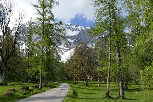 Schladming Dachstein nature