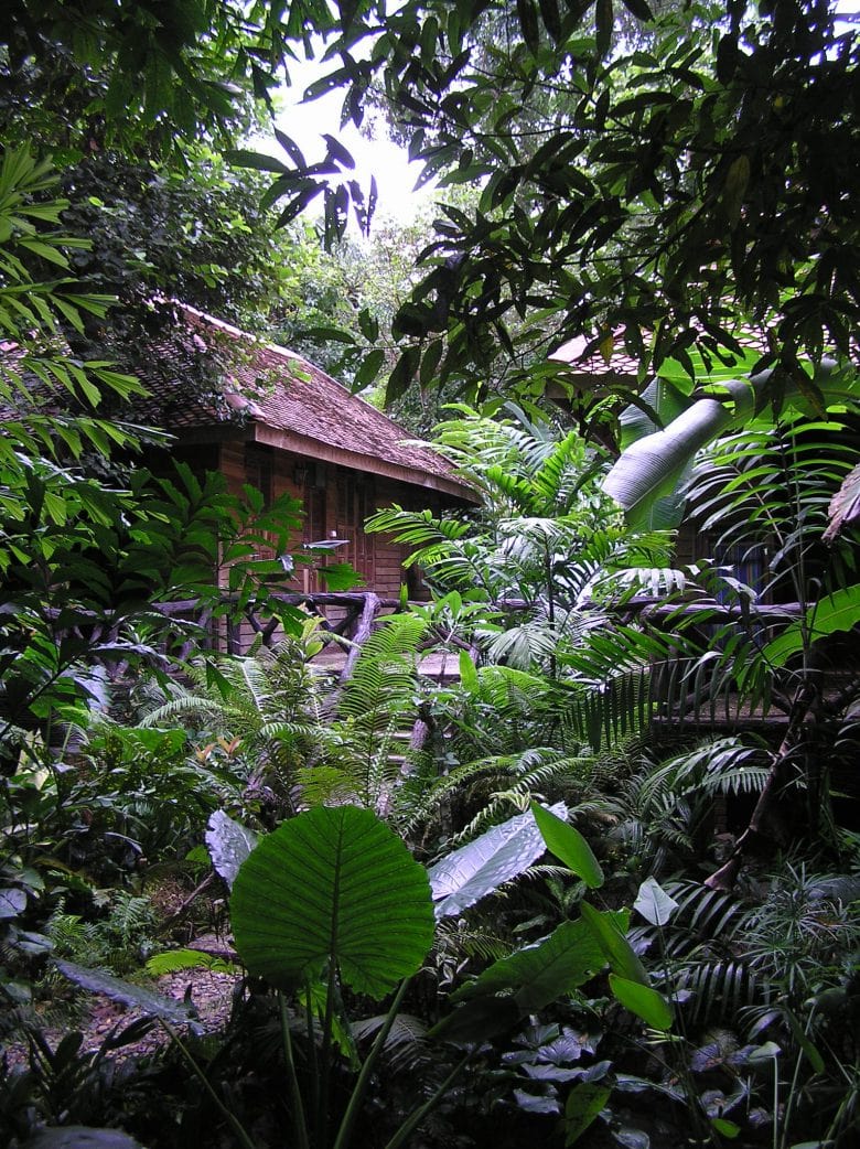 Jungle lodge