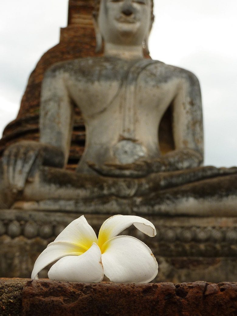 Buddha flower