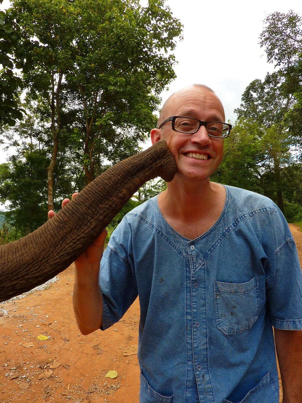 Kiss from elephant