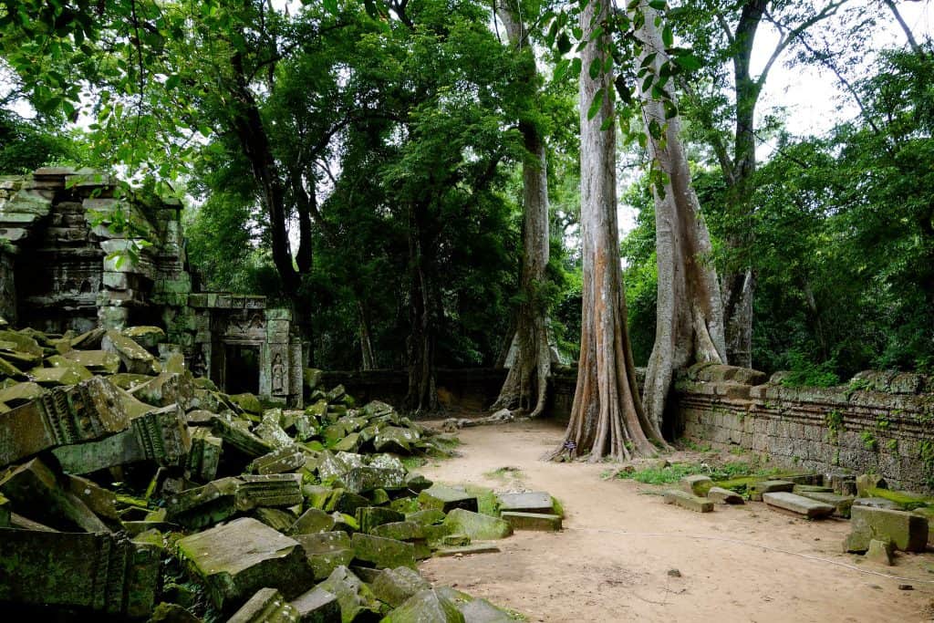 Temple ruin grounds